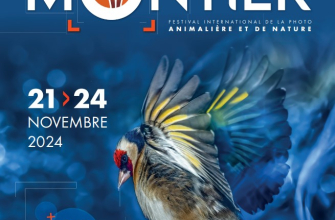 27ème Festival International de la photo animalière... Du 21 au 24 nov 2024